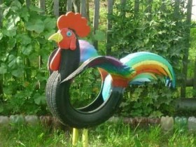 Cock of the tires in the garden