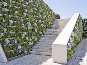 Вертикальне озеленення садової сходи