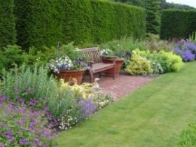 Hedge in an English garden