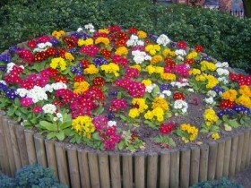 Photo examples of the decoration of the flower garden
