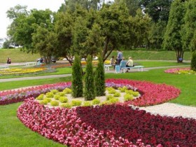 Photo examples of the decoration of the flower garden