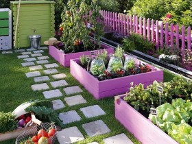 Wooden curbs pink for garden beds