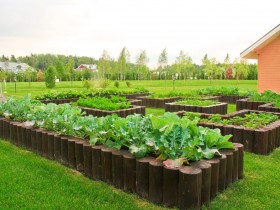 Wooden border for the vegetable beds