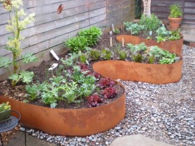 Metal border for garden beds