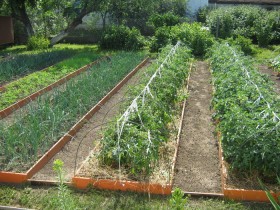 Easy vegetable beds