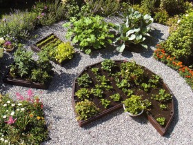 The style of the raised beds in the garden