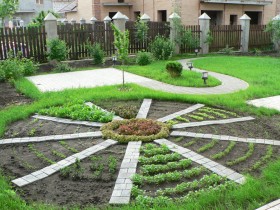 The design of the raised beds in the shape of a flower