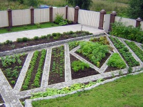 The unusual design vegetable beds