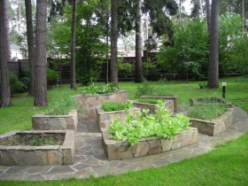Garden beds with stone border