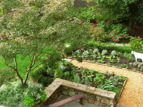 Vegetable garden with retaining wall