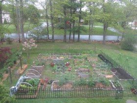 The layout of the garden at the cottage
