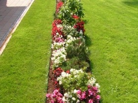 Beautiful flower bed at the cottage
