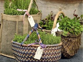 Flowerbed in the garden of baskets