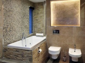 Modern interior of toilet