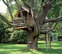 Гарне оформлення будиночка на дереві