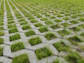 Concrete grass paver