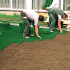 Grass paver: types, device and installation with your own hands