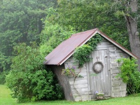 The barn in country style