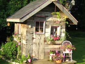 Shed rustic