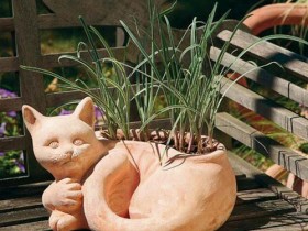 The pot of flowers in the form of a cat