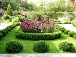Create a flowerbed on the dacha with his hands: how to create and photo examples of handwritten creative decoration flower bed