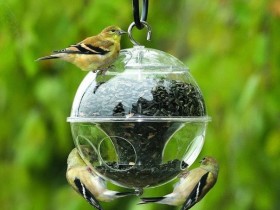 Ball shaped plastic feeder for birds