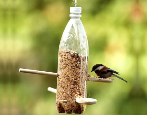 Кормушки для птиц из пластиковых бутылок