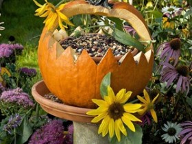 A bird feeder from a pumpkin