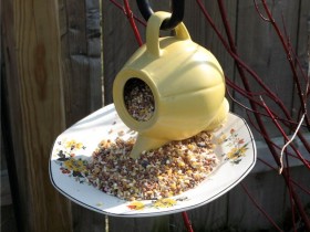 The idea of bird feeders in the country