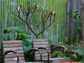 Деревянные стульчики в зоне отдыха возле коттеджа