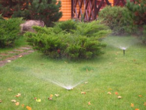 Create a "lazy" watering plants on a plot: the advantages and disadvantages of different options for irrigation
