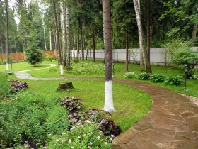 Garden design in forest style