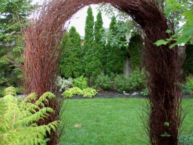 Garden arch made of vines