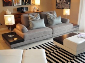 Stylish small living room
