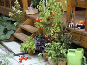Create a container garden on the front of the house