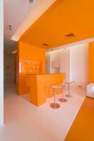 Interior design orange kitchen in the apartment