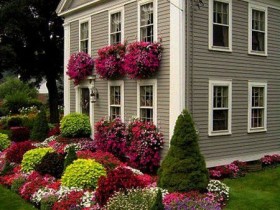 A bright garden in front of cottage
