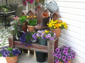 Garden of flowers in pots