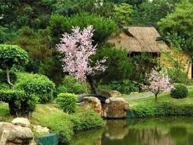 Пейзажний стиль садової ділянки – особливості створення англійського саду