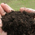 Как правильно подготовить почву под газон?