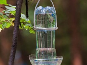 Поилка для птиц из пластиковой бутылки