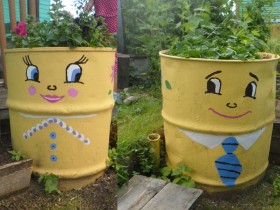 Beautiful barrels in the garden