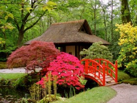 Japanese garden bridge