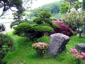 The stones in the Japanese garden