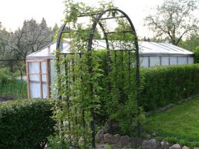 Металічная садовая арка