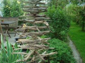 The tree of wooden snags