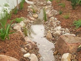 A simple stream in the country