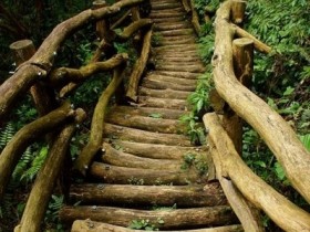 Garden stairs made of wood