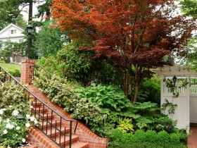 Simple brick stairs in the garden