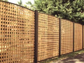 Fencing of the trellis